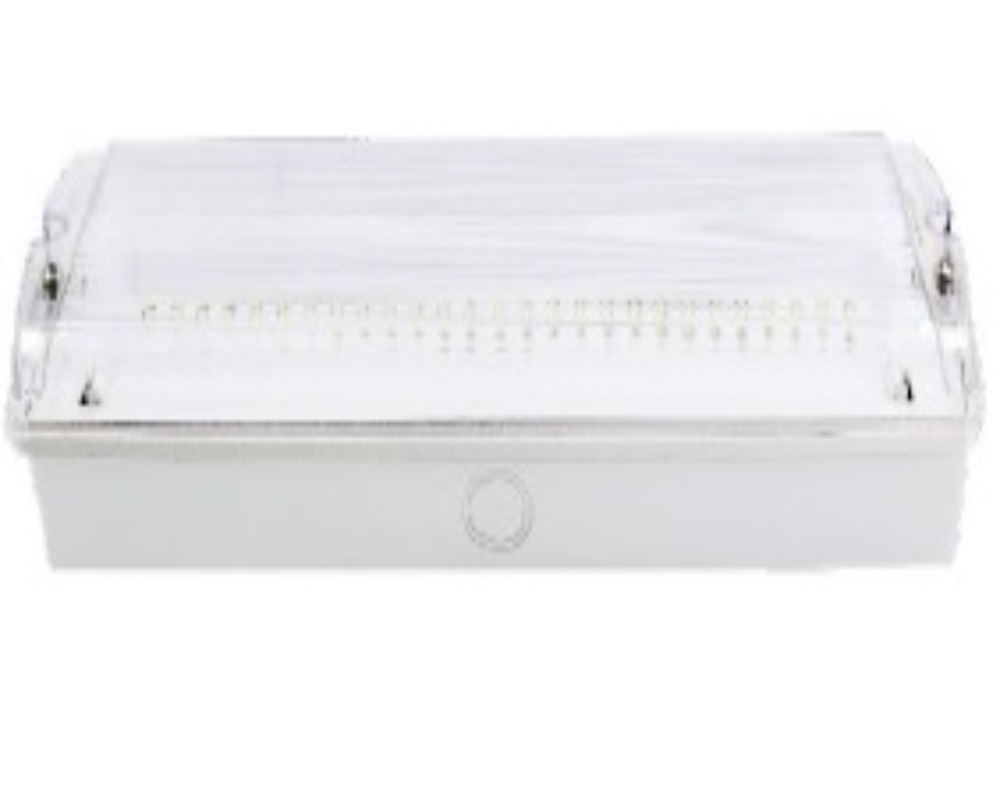 SURFACE- RECESSED MOUNTED EMERGENCY LIGHT